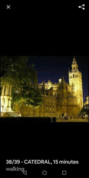Apartamento En El Casco Antiguo Junto Alameda H. Sevilla Buitenkant foto